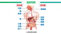 初中生物冀少版（2024）七年级下册（2024）人体生命活动需要的营养物质多媒体教学课件ppt