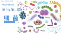 初中生物苏科版（2024）七年级下册（2024）病毒与细菌课文内容ppt课件
