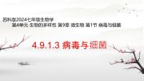 生物七年级下册（2024）病毒与细菌说课课件ppt