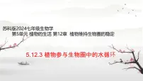 初中生物苏科版（2024）七年级下册（2024）植物参与生物圈中的水循环课文内容ppt课件