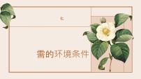 初中生物人教版（2024）七年级下册（2024）栽培一种植物，探究所需的环境条件教学演示课件ppt