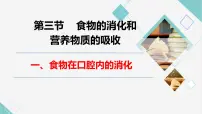 冀少版（2024）七年级下册（2024）营养物质的吸收教学演示ppt课件