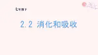 人教版（2024）七年级下册（2024）消化和吸收多媒体教学ppt课件