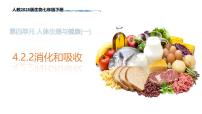 生物消化和吸收课文内容课件ppt