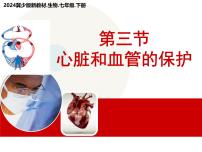 初中生物冀少版（2024）七年级下册（2024）心脏和血管的保护课前预习ppt课件
