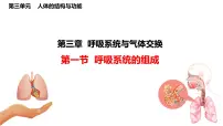 冀少版（2024）七年级下册（2024）呼吸系统的组成课堂教学课件ppt