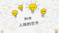 初中生物北师大版（2024）七年级下册（2024）人类的食物教学ppt课件