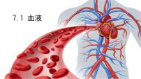 初中生物北师大版（2024）七年级下册（2024）血液备课ppt课件