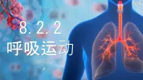 北师大版（2024）七年级下册（2024）人体细胞获得氧气的过程课文配套课件ppt