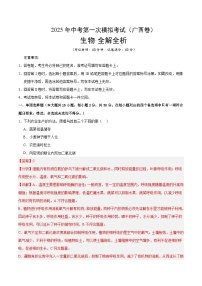 2025年中考第一次模拟考试卷：生物（广西卷）（解析版）