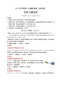 2025年中考第一次模拟考试卷：生物（湖北卷）（解析版）