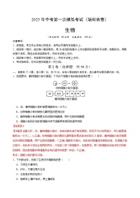 2025年中考第一次模拟考试卷：生物（湖南省卷）（解析版）