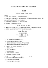 2025年中考第一次模拟考试卷：生物（湖南省卷）（原卷版）