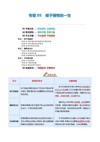 专题05 被子植物的一生（讲义）-2025年中考生物一轮复习