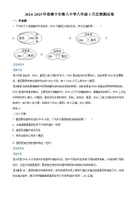 广西南宁市第八中学2024-2025学年八年级下学期3月月考 生物试题（含解析）