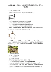 山西省实验中学2024-2025学年八年级下学期3月月考 生物试题（含解析）