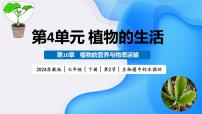初中生物苏教版（2024）七年级下册（2024）生物圈中的水循环教学课件ppt