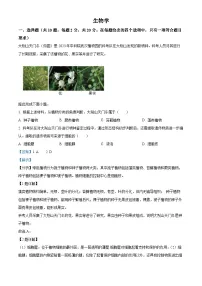精品解析：2024年湖北省中考生物真题（解析版）