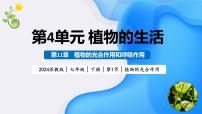 苏教版（2024）七年级下册（2024）植物的光合作用课堂教学课件ppt