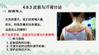 初中生物北师大版（2024）七年级下册（2024）皮肤与汗液分泌集体备课课件ppt