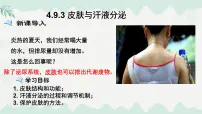 初中生物北师大版（2024）七年级下册（2024）皮肤与汗液分泌集体备课课件ppt