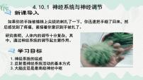 初中生物北师大版（2024）七年级下册（2024）神经系统与神经调节教课ppt课件