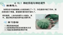 初中生物北师大版（2024）七年级下册（2024）神经系统与神经调节教课ppt课件