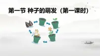 生物七年级下册（2024）种子的萌发课文配套课件ppt