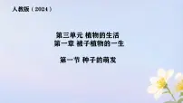 初中生物人教版（2024）七年级下册（2024）种子的萌发集体备课ppt课件