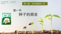 初中生物人教版（2024）七年级下册（2024）种子的萌发多媒体教学课件ppt
