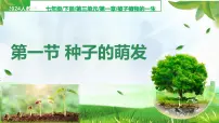 初中生物人教版（2024）七年级下册（2024）种子的萌发授课ppt课件