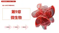 第9章 微生物（复习课件 2025学年七年级生物下学期期中考点大串讲（苏科版2024）