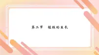 初中人教版（2024）植株的生长背景图ppt课件