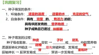 初中生物人教版（2024）七年级下册（2024）植株的生长说课课件ppt