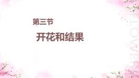 生物七年级下册（2024）开花和结果课文配套ppt课件