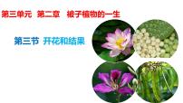 初中生物开花和结果评课课件ppt