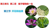 初中生物开花和结果评课课件ppt