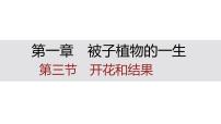 人教版（2024）七年级下册（2024）开花和结果集体备课ppt课件