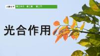 初中生物人教版（2024）七年级下册（2024）光合作用说课ppt课件