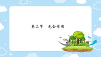 生物七年级下册（2024）光合作用课文ppt课件