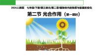 初中生物人教版（2024）七年级下册（2024）光合作用评课ppt课件