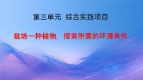 人教版（2024）七年级下册（2024）栽培一种植物，探究所需的环境条件集体备课ppt课件