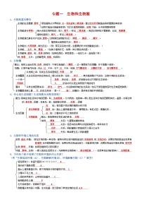 2025年人教版八年级下册会考生物知识梳理知识点讲义专题01 生物和生物圈（背诵版）