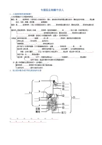 2025年人教版八年级下册会考生物知识梳理知识点讲义专题04 生物圈中的人（填空版）