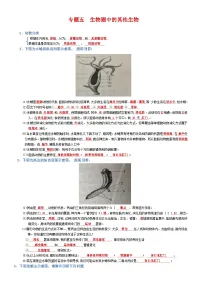 2025年人教版八年级下册会考生物知识梳理知识点讲义专题05 生物圈中的其他生物（背诵版）