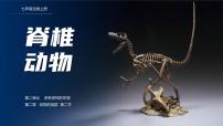 人教版（2024）七年级上册（2024）两栖动物和爬行动物优秀ppt课件