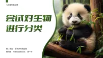 初中生物人教版（2024）七年级上册（2024）尝试对生物进行分类完美版ppt课件