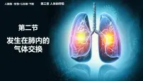 初中生物人教版（2024）七年级下册（2024）发生在肺内的气体交换备课ppt课件
