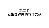 七年级下册（2024）发生在肺内的气体交换备课ppt课件