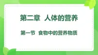 人教版（2024）七年级下册（2024）食物中的营养物质说课课件ppt